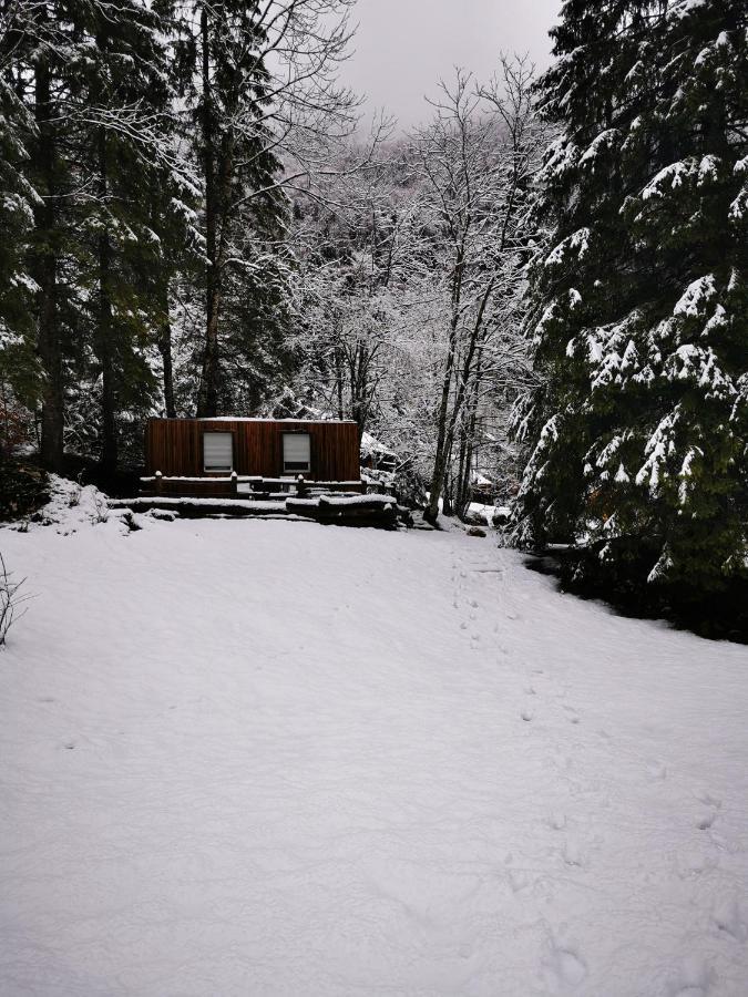 Villa Skalca Kamniska Bistrica Exterior foto
